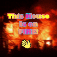 Going Off Burning Down GIF by The3Flamingos