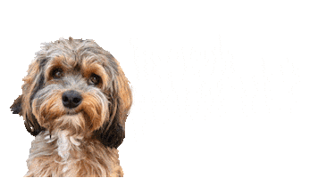 Julia Specht Sanitär- und Heizungstechnik Sticker