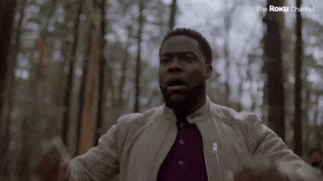Kevin Hart GIF by The Roku Channel