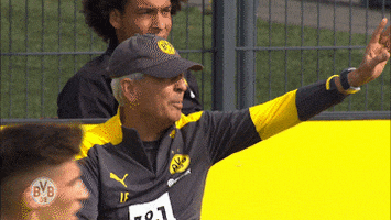 Borussia Dortmund No GIF