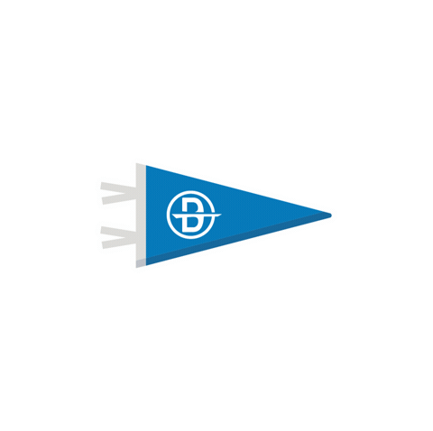 Detroit Lions Football Sticker by Bedrock Detroit