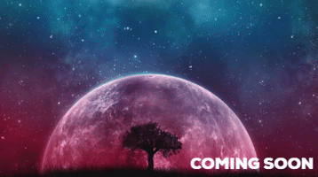 Avrin Kelly Wicked Shorts GIF