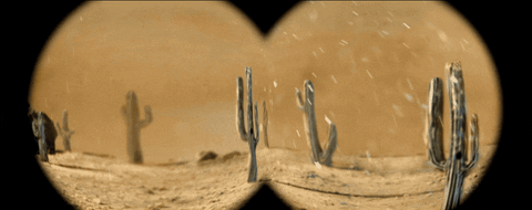 Sub Pop Mask GIF by Sub Pop Records