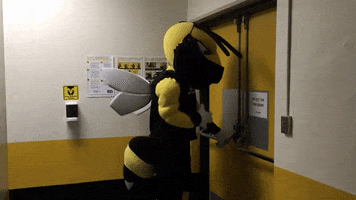 AICYellowJackets college sports mascots rex college athletics GIF