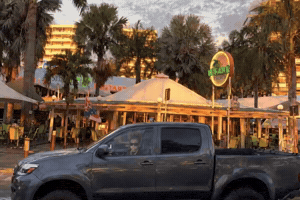 Paksadort GIF by lol jay