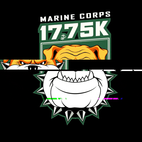MarineCorpsMarathon marine corps marathon 1775k run with the marines marine corps 1775k GIF