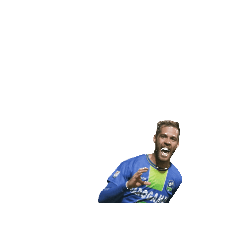 Feralpisalò Sticker