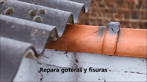 GIF animado