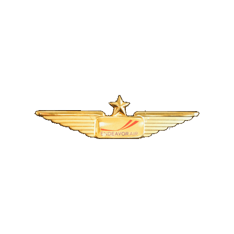 Wings Flying Sticker by Endeavor Air
