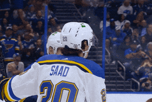 Group Hug Sport GIF by St. Louis Blues