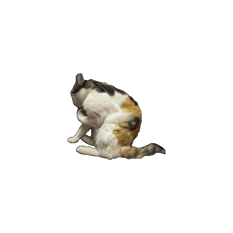Cat Meow Sticker