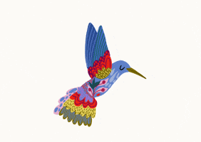 Colibri Pajarito GIF