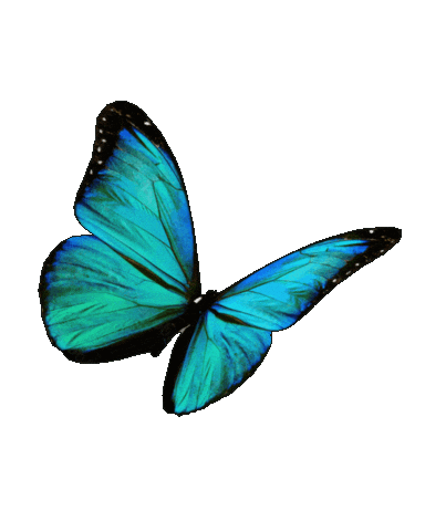 Fashion Logo Sticker by SIMPO