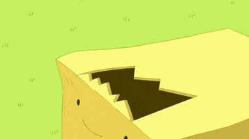 Cat GIF