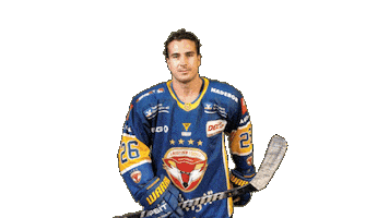 Thanks Celebrate Sticker by Lausitzer Füchse