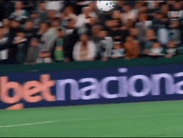 Santos Bontempo GIF