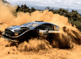Car Dust GIF by FIA World Rally Championship