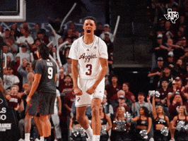 Bucky Ball Whoop GIF by Texas A&M Athletics