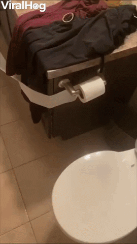 Toilet Paper Puppy Pulls Roll Across House GIF by ViralHog