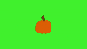 Pumpkin Green Screen GIF