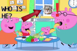 Cat Who Is He GIF