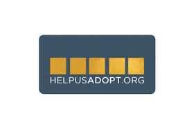 Nyc Adoption Sticker by Helpusadopt