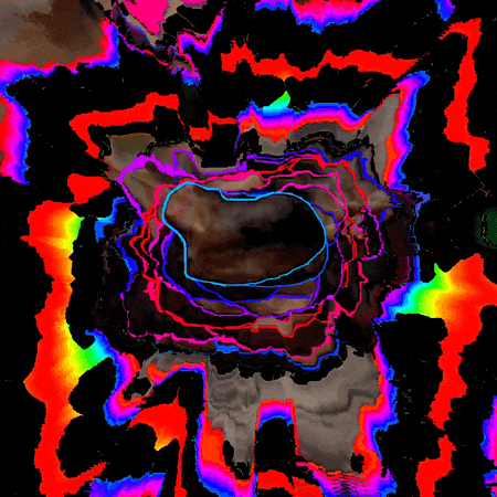 Tik Tok Cat GIF by PERFECTL00P