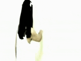 pinheiro short closer pinheiro GIF