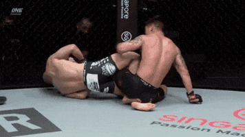 Mma GIF
