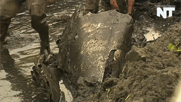 war news GIF by NowThis 