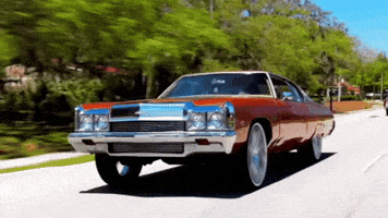 Donk Pull Up GIF