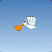 Tactical Penguin GIF