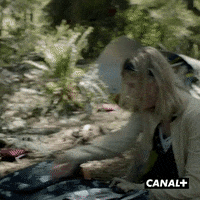 Series Forest GIF by CANAL+