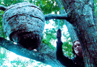 The Hunger Games Movie Photo: 'The Hunger Games' Gifs