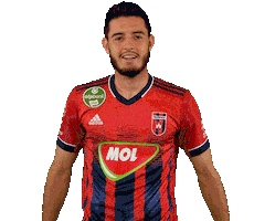 Football Vidi Sticker by MOL Fehérvár FC