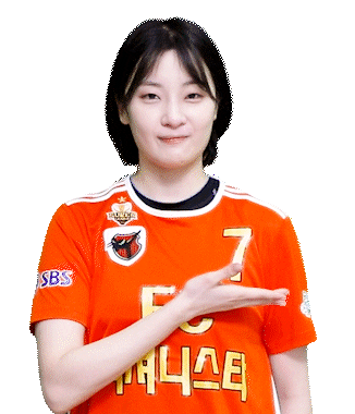 Football Sport Sticker