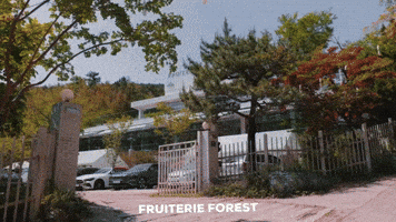 Fruiterie Forest Busan GIF