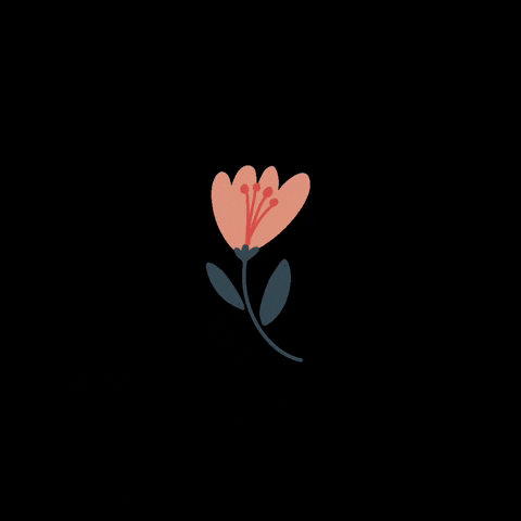 livingsketches love nature flower flowers GIF