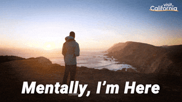 Sponsored gif. Person looks down at a beautiful cove bordered by high rocky cliffs along the coast of California. In the distance, the sun sets over the ocean. Text reads, “Mentally, I’m here.”
