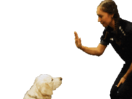 High Sticker by Eintracht Vinhoven 2019 e.V.