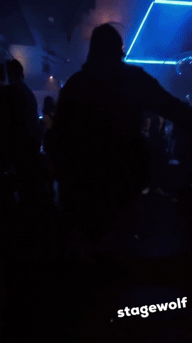 Party Dancing GIF by STAGEWOLF