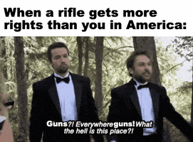 TV gif. Dressed in tuxedos, Charlie Day as Charlie and Rob McElhenney as Mac from It’s Always Sunny in Philadelphia stand in a forest, looking confused as Charlie yells, “Guns? Everywhere guns? What the hell is this place?!” Caption at the top reads, “When a rifle gets more rights than you in America.”