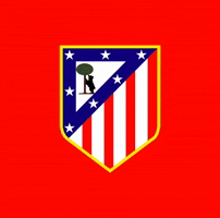 Sad Atletico Madrid GIF