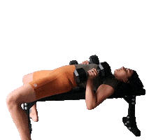 bodiesbymonika Sticker