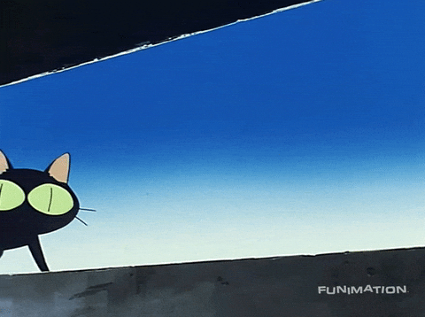 GIF uploaded by ✨️Amanda✨️