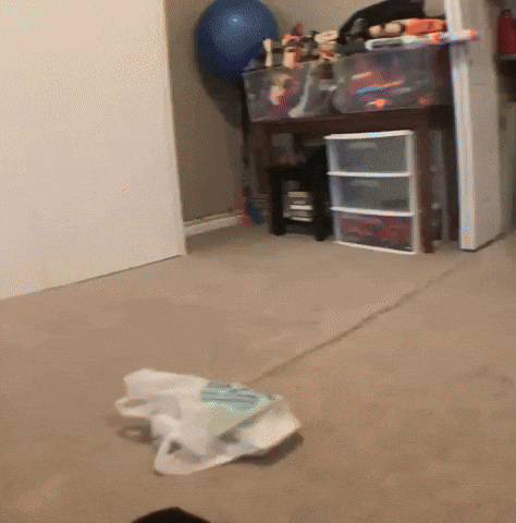 Adheinaken GIF