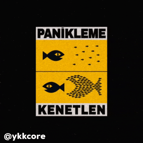 Panic Organise GIF