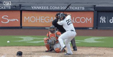 New York Yankees Omg GIF by Jomboy Media
