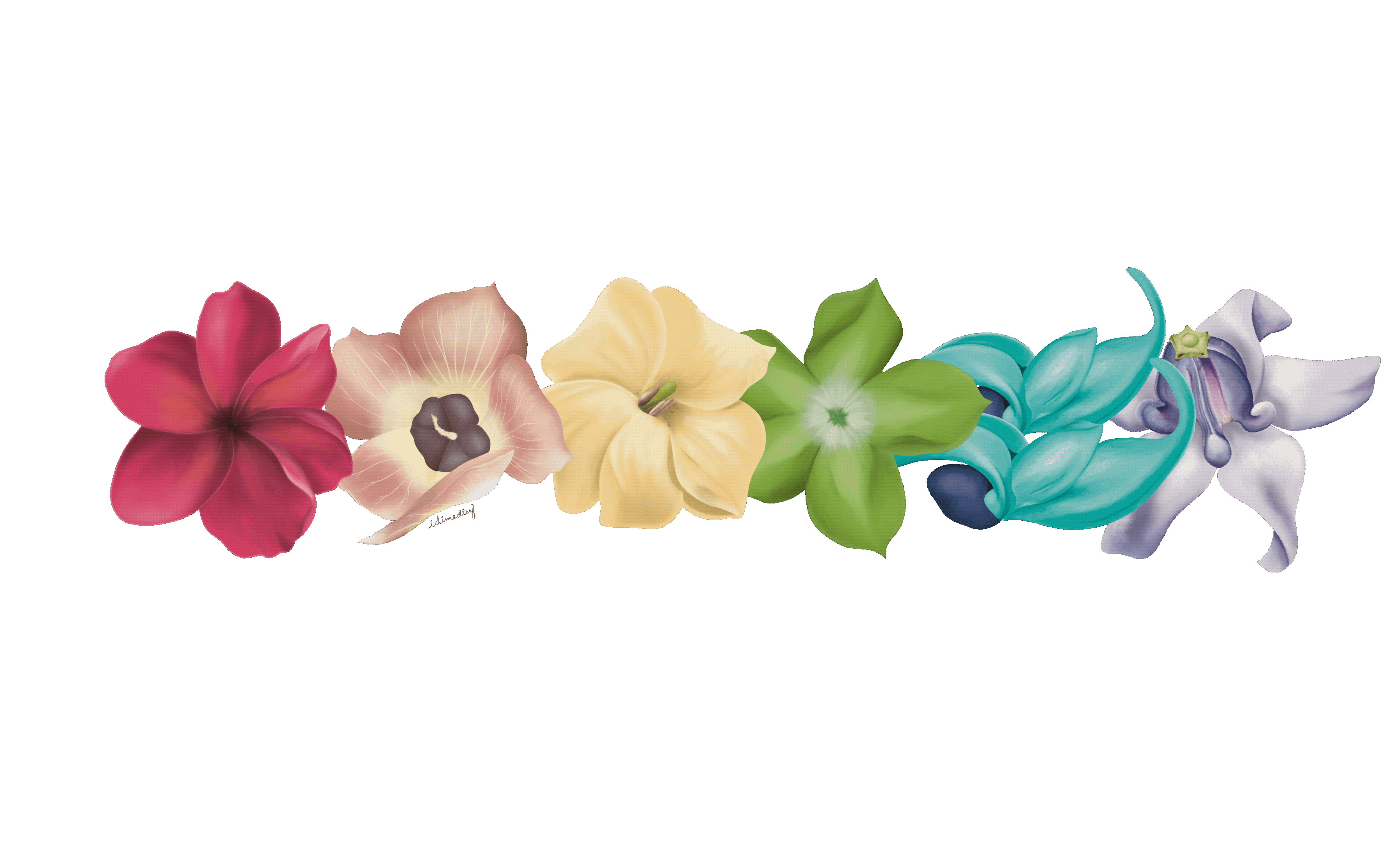 Hawaii Flowers GIFs on GIPHY - Be Animated, image size:3587x2160