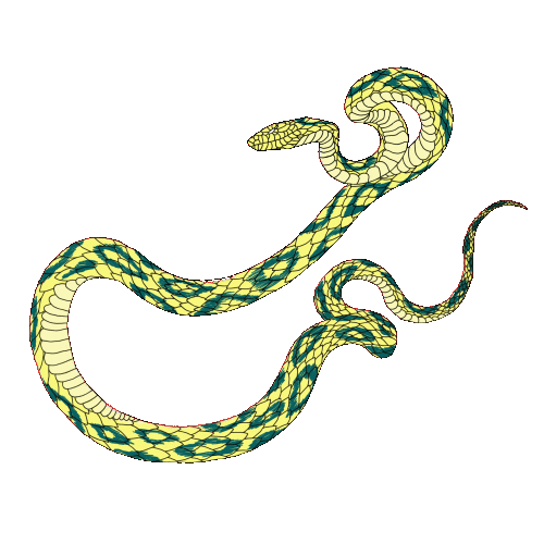 Snake Sticker